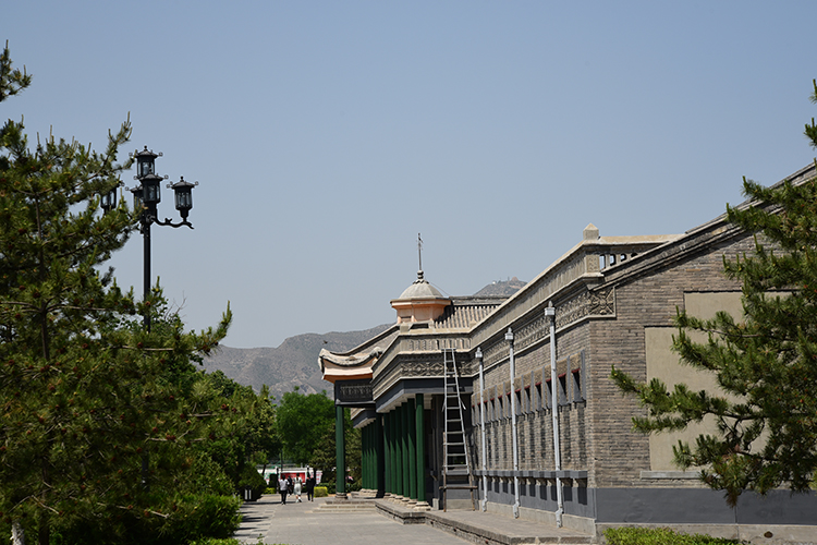 DSC_8773.JPG