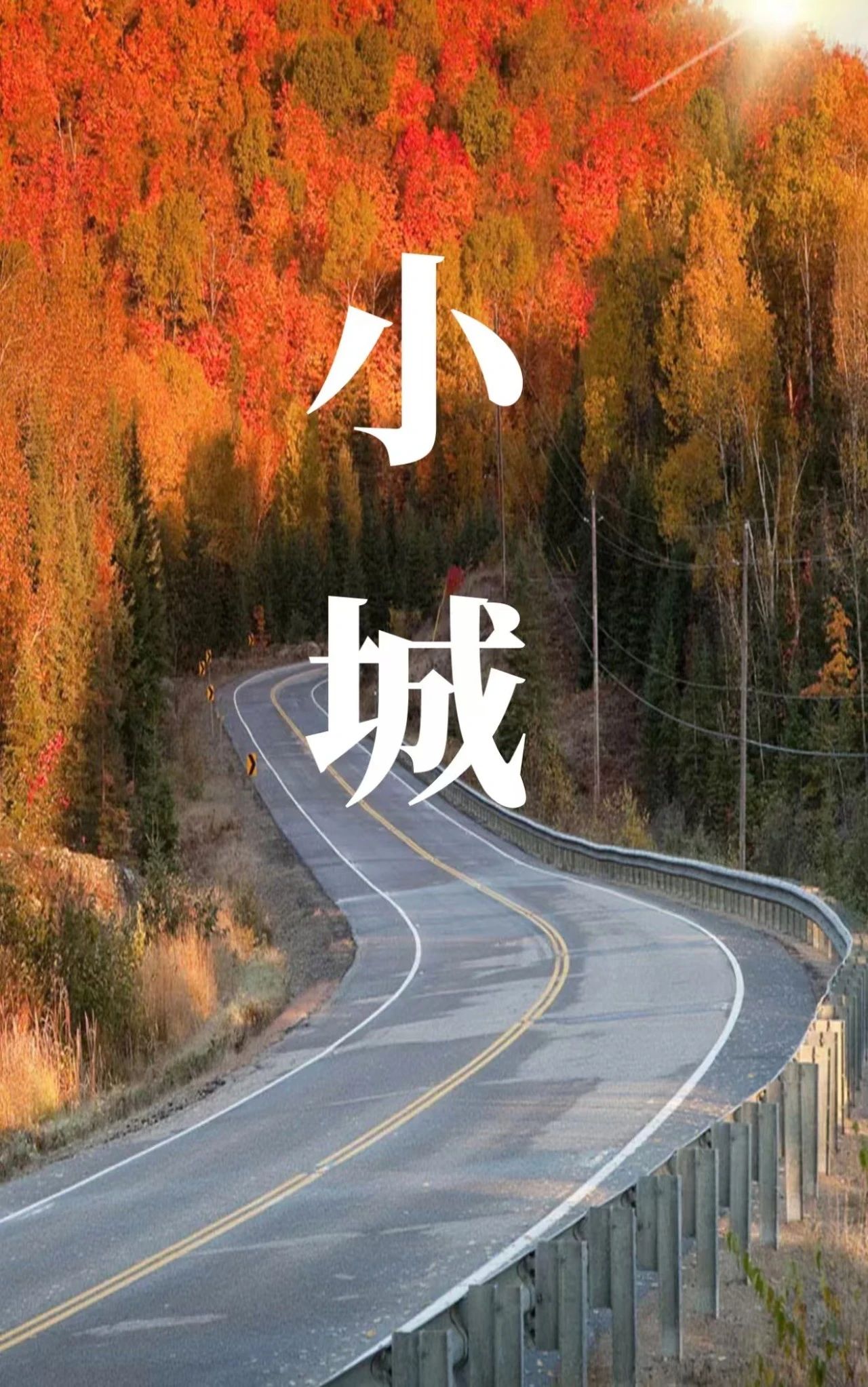 b469c4c8078c6b5031261a61d58de50b.jpg