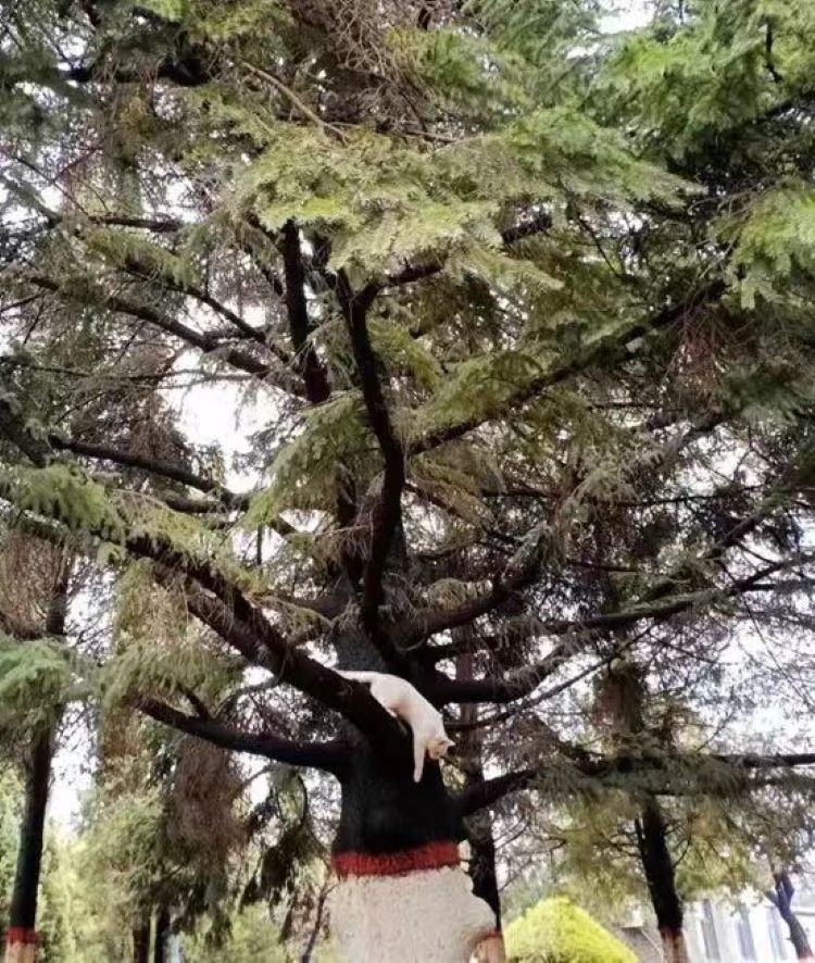 微信图片_20230505224127.jpg