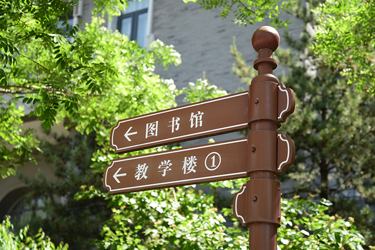 DSC_8732.JPG