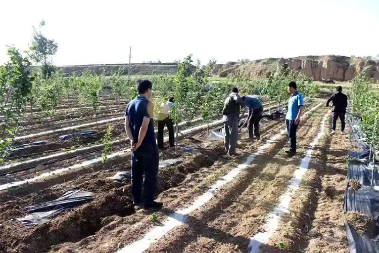 微信图片_20220622104051.jpg