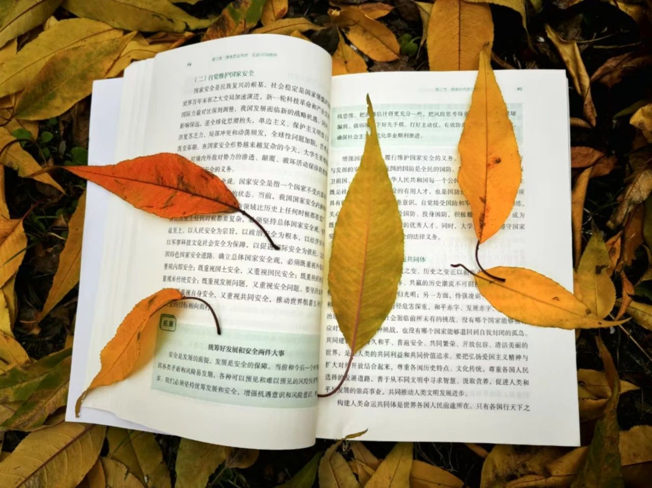 微信图片_20241123133531.jpg