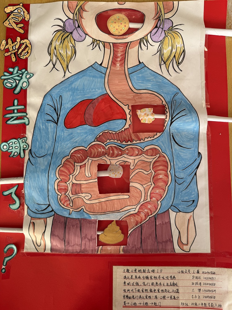 二24学八 食物都去哪了.jpg