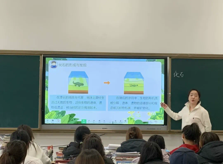 66666666.png