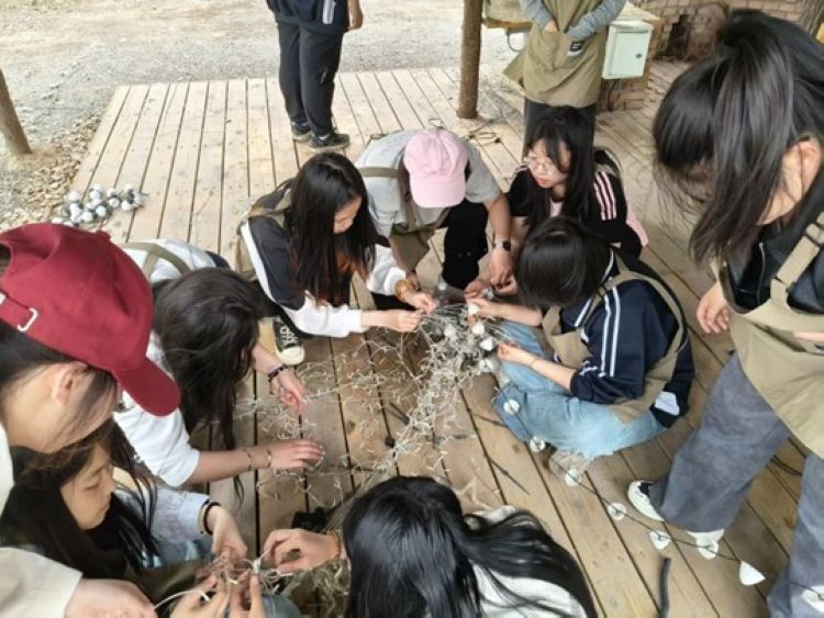 图片17.jpg