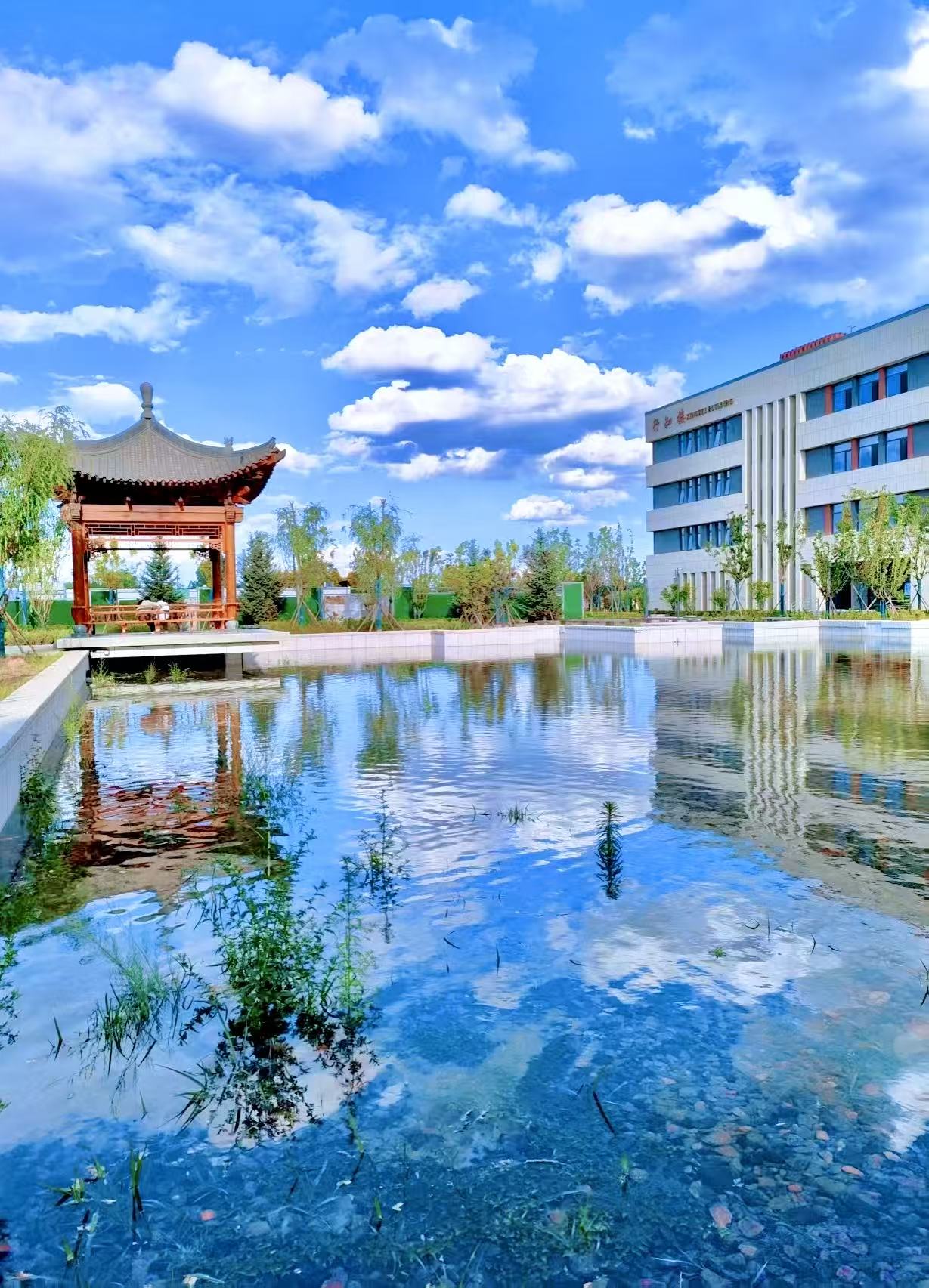 25级体育教育班+陈芗磊+《亭影照书楼》.jpg 25级体育教育班+陈芗磊+《亭影照书楼》.jpg