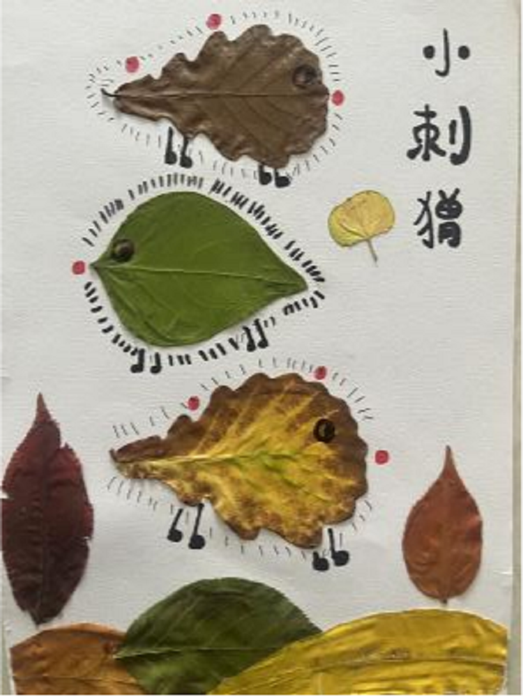 图片13.png