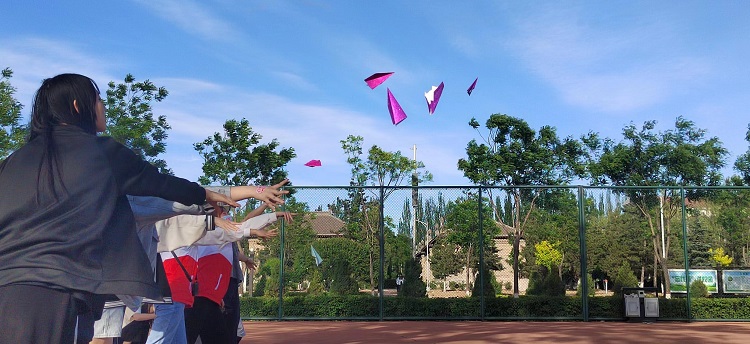 图片8.jpg 图片8.jpg